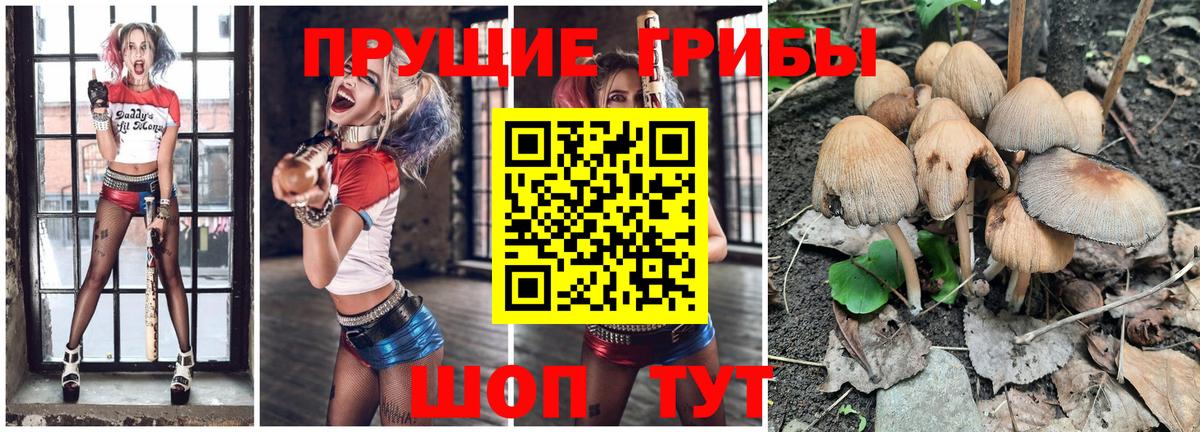 Знаменск  Псилоцибиновые грибы Cubensis  Вход с VPN  Псилоцибиновые грибы Magic Shrooms 